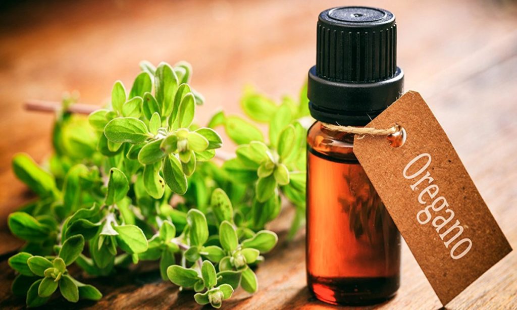 5 Obat Herbal Sinusitis Kronis yang Mudah Ditemukan di Rumah