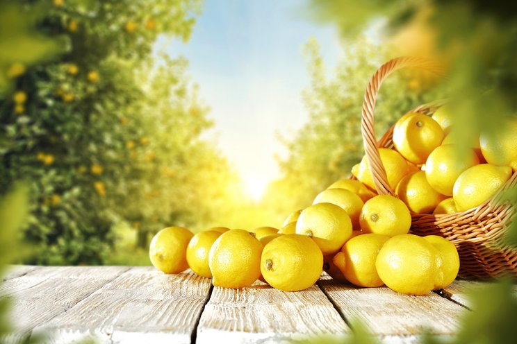 Manfaat Lemon untuk Kesehatan Ini Bakal Bikin Kamu Rajin Mengonsumsinya