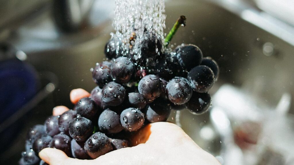 Manfaat Anggur Hitam untuk Kesehatan Turunkan Risiko Di abetes