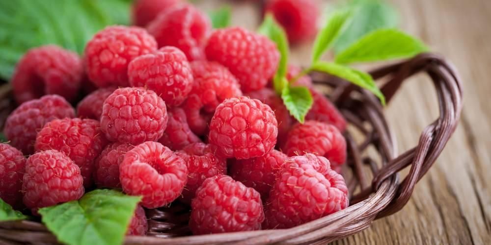 Manfaat Raspberry yang Sangat Baik untuk Kesehatan Tubuh