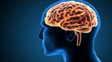 8 Kebiasaan Sehari-hari yang dapat Merusak Otak, Segera Hindari