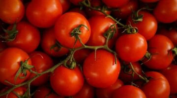 Manfaat Kesehatan dari Tomat Kukus