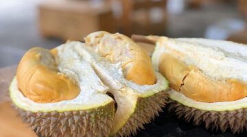 Beberapa Manfaat Durian bagi Kesehatan