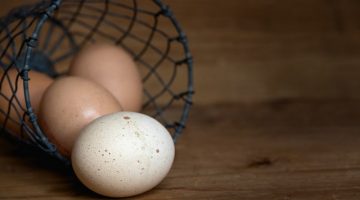 Kenapa Telur Kalkun Tidak Jadi Makanan Sehari-hari?