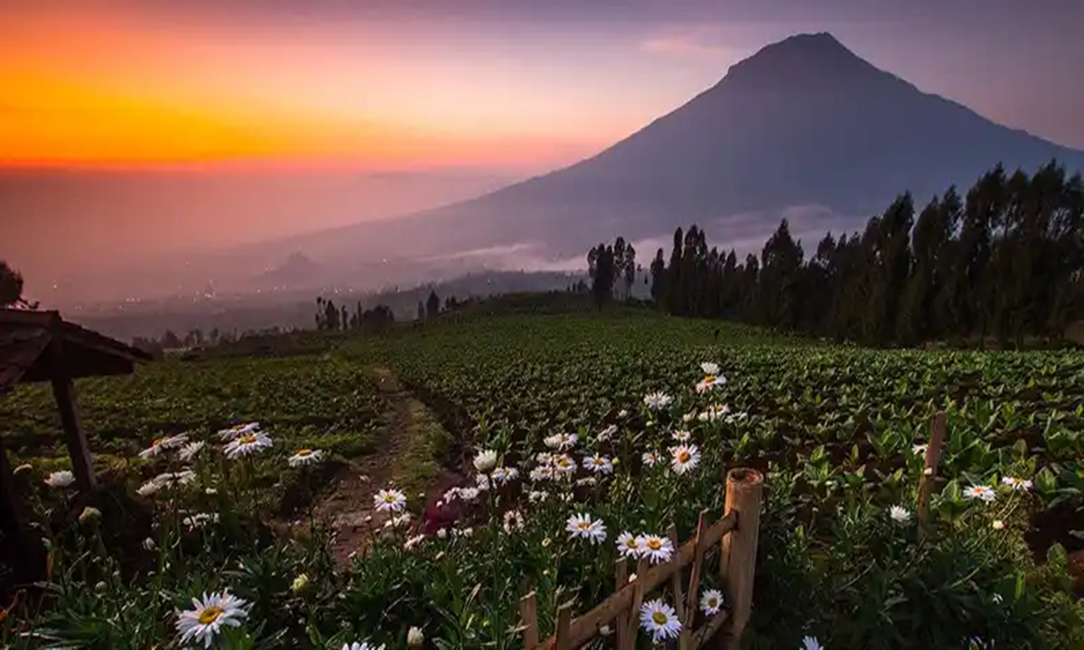 16 Wisata Jawa Tengah Terpopuler yang Wajib Dikunjungi, dari Alam Hingga Budaya