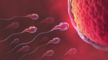Sperma Sehat Baunya Seperti Apa Perlu Dikenali
